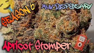 Season 6 Muv Dispensary: #101 Apricot Stomper (Official Video Product Review)