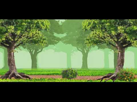 Parallax Forest Showcase