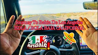 Journey To Bahia De Los Angeles Baja California BDLA / BOLA #mexico #travel #passportbros #viral