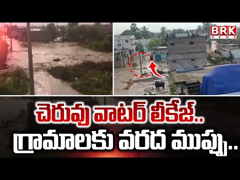 చెరువు వాటర్ లీకేజ్... గ్రామాలకు వరద ముప్పు ... | Leakage In Tirupati Lake | @brknewsofficial