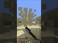POV: finding buried treasure be like😭🙏💀 #minecraft #gaming #lol #funny #annoying #osc #shorts
