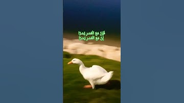 فَإِنَّ مَعَ الْعُسْرِ يُسْرًا إِنَّ مَعَ الْعُسْرِ يُسْرًا #قرآن #آيات #اسلام_صبحي #الشرح