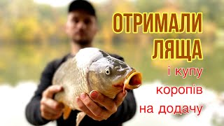 Купа КОРОПІВ та ЛЯЩ. Риболовля в Україні осінь 2022
