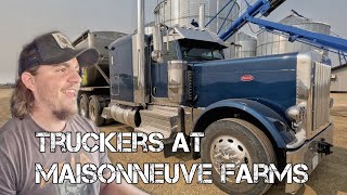 Truckers at Maisonneuve Farms | Ft. Nine John Deere X9's