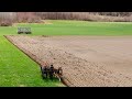 My Draft Horses Plowing // A History Of Some Of The Plows I've Had