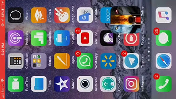 Wolf Online Tiny Name And Chat!