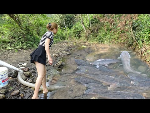 Best Fishing Video - The Girl Use a Pump To Suck Water Outside Of The Lake - Catching Many Big Fish