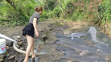 Fishing Videos: The Girl Skillfully Pumping Water Outside The Natural Lake, Catch A Lot Of Big Fish