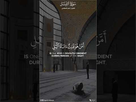 أمن هو قانت آناء الليل ساجدا وقائما يحذر الآخرة ويرجو رحمة ربه القارئ ناصر القطامي