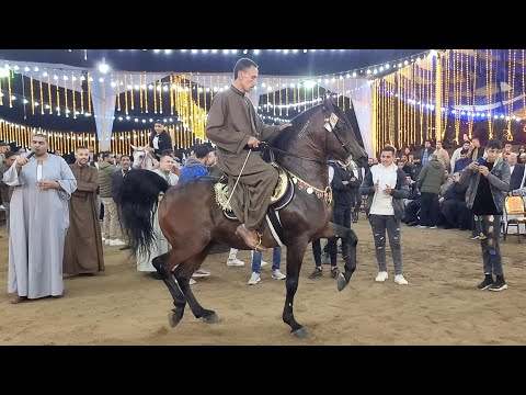 غزال الجمهورية بطل مصر و بدر شتيوي حفلة وليد مندي 2022