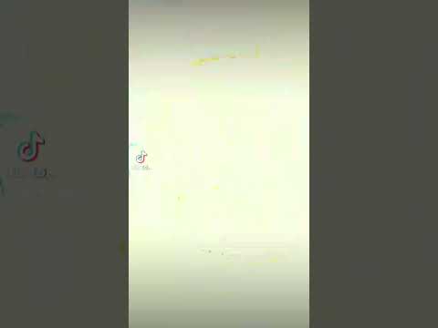 مطعم شيف الشام