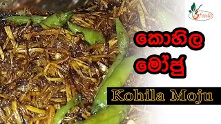 Kohila Moju _ කොහිල මෝජුවක් ලංකාවේ විදියට