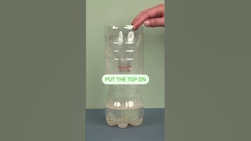 DIY Mosquito Trap #shorts