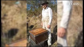 Apiculteur dans le Finistère : 