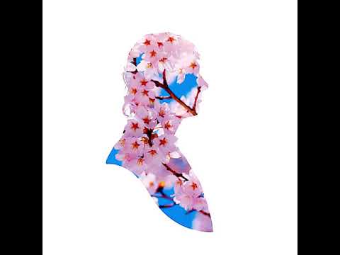 Pet Shop Boys - Miracles