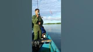 wes suwe ora mancing