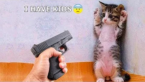 Watch the video about Best Funny Animal Videos Of The 2023 🤣 - Funniest Cats And Dogs Videos 😺😍😂🐶 Funny cat & dog videos 😍