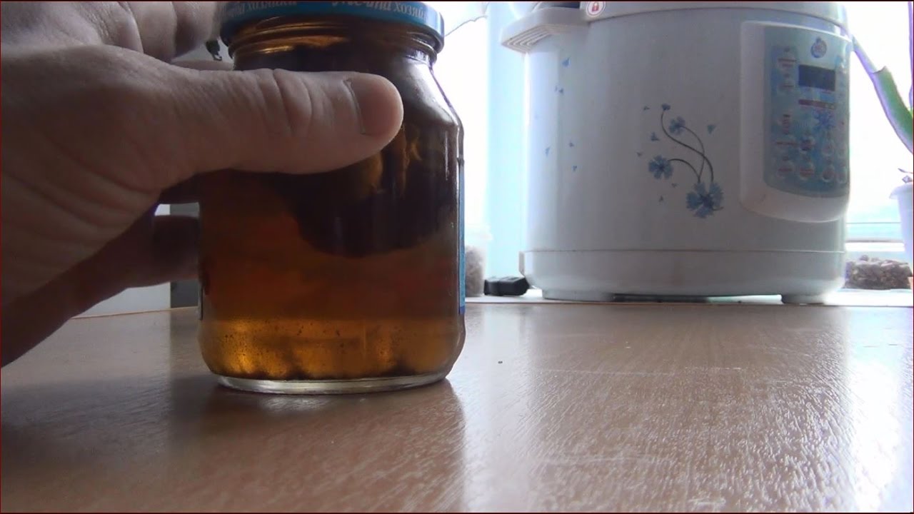 Гриб Веселка Научное подтверждение, что Гриб лечит Рак и Онкологию