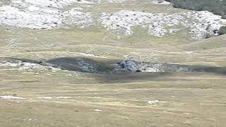 Велика Попина - Излет На Пусто Поље