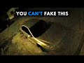 Just Don T Watch This Alone In The Dark Just Don T Watch This Alone In The Dark