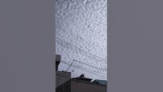 《22.01.17》☁Strange Clouds