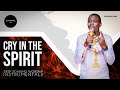 Deep Soaking Instrumentals - Cry In The Spirit | Theophilus Sunday | Alone With God