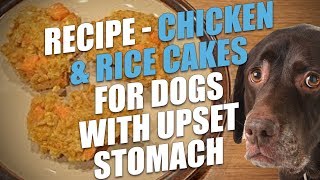 Do you feel like eating when your stomach is upset? no, of course not!
full recipe here: http://topdogtips.com/chicken-rice-cakes-recipe lose
appeti...