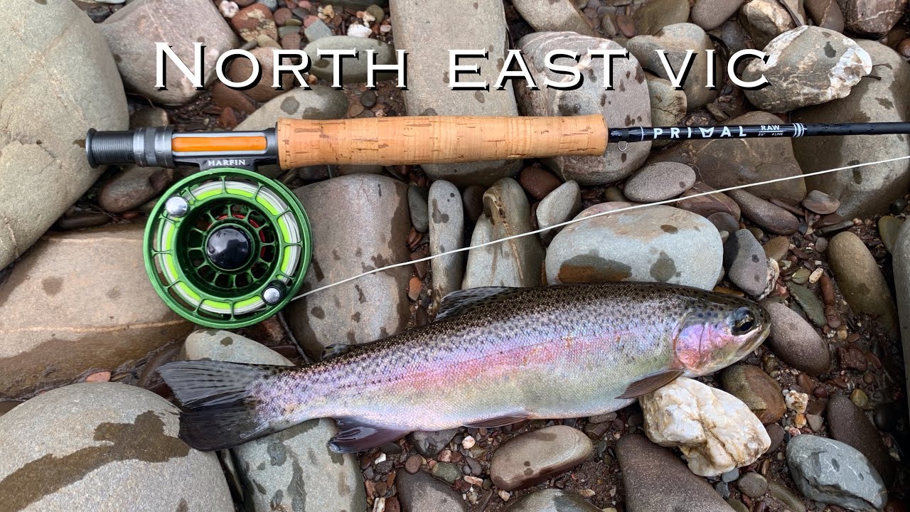 NORTH EAST VIC FLY FISHING 