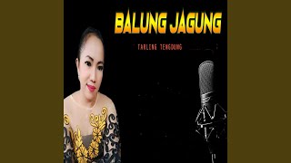 Balung Jagung Tarling Tengdung