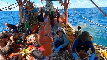 Anh Ngư Phủ #25 | Lấy Cào, Thả Cào, Lựa Cá Và Bữa Cơm Trên Ghe Của Ngư Dân