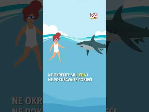 Kako preživjeti napad
