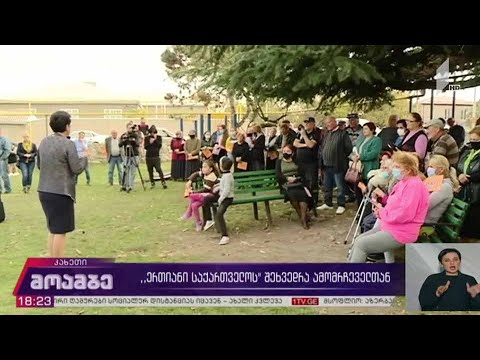 “ერთიანი საქართველოს” შეხვედრა ამომრჩეველთან