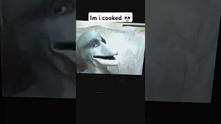 Its The Dolphin Man Again