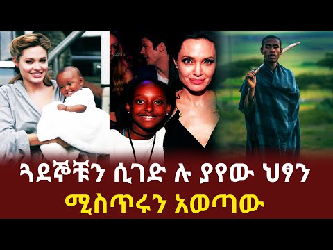 ቪዲዮ: ብራድ ፒት እና አዲሱ ፍቅረኛው