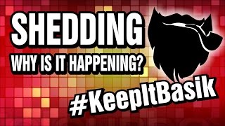 Shedding - Why Is It Happening? -
