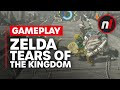NEW Zelda: Tears of the Kingdom Gameplay