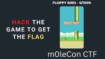 Floppy Bird | molecon CTF | CTF For beginners