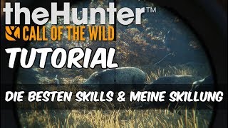 thehunter Call of the Wild Tutorial - Die besten Skills & meine Skillung