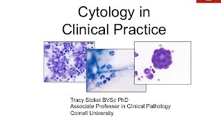 Cytology in Clinical Practice - conference recording