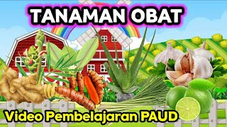 Video Pembelajaran PAUD Tema Tanaman || Sub Tema Tanaman Obat