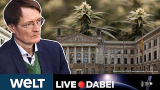 BUNDESRAT: Hochspannung in Berlin - Cannabis-Legalisierung auf der Kippe? Bauern protestieren | WELT