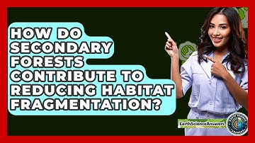 How Do Secondary Forests Contribute To Reducing Habitat Fragmentation? - Earth Science Answers
