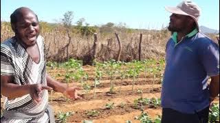 Sabhuku Vharazipi Miriyoneya Murayini