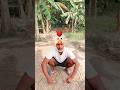 Moments You Can't MissPure Vibes Only WatchTill the End! #viral #shorts