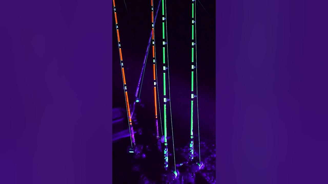 Black light for catfish rods #blacklight 