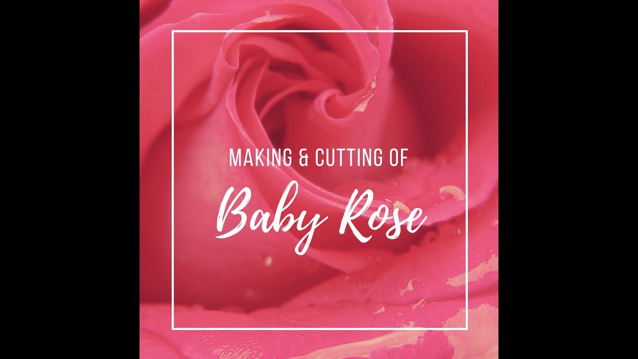 Making and Cutting Baby Rose CP Soap ~ Dandi Creations