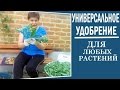 Зеленое органическое удобрение из травы. Чем заменить навоз