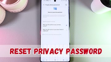 How to Reset Privacy Password on Vivo X100 Pro 5G