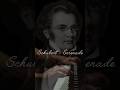 F. Schubert - Serenade #shorts #schubert #serenade #classicalmusic #classicalpiano #garrisetyan