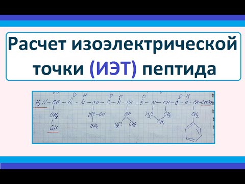 Определение pI (изоэлектрической точки) пептидов. Биохимия.